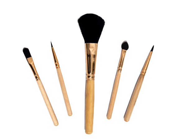 iKanu 5Pcs Makeup Brush Set Small Handle