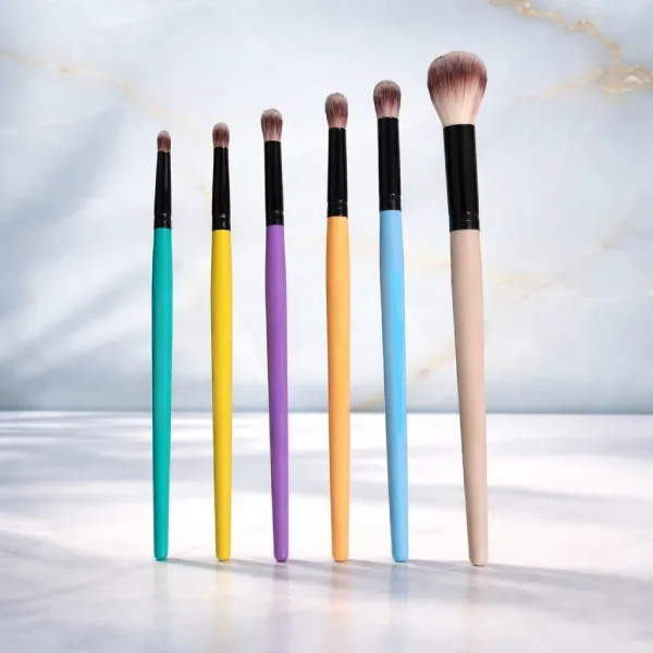 Mop Professional Set in Different Color Handles