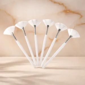 Fan Brushes 6pc Set